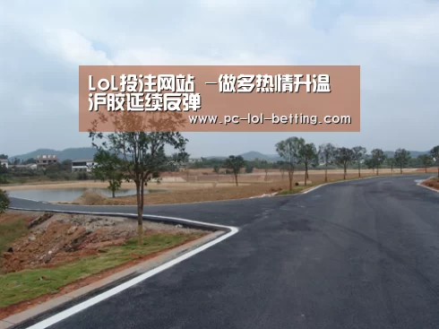 LoL投注网站 -做多热情升温 沪胶延续反弹