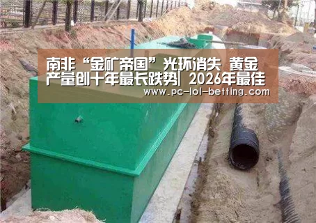 南非“金矿帝国”光环消失 黄金产量创十年最长跌势| 2026