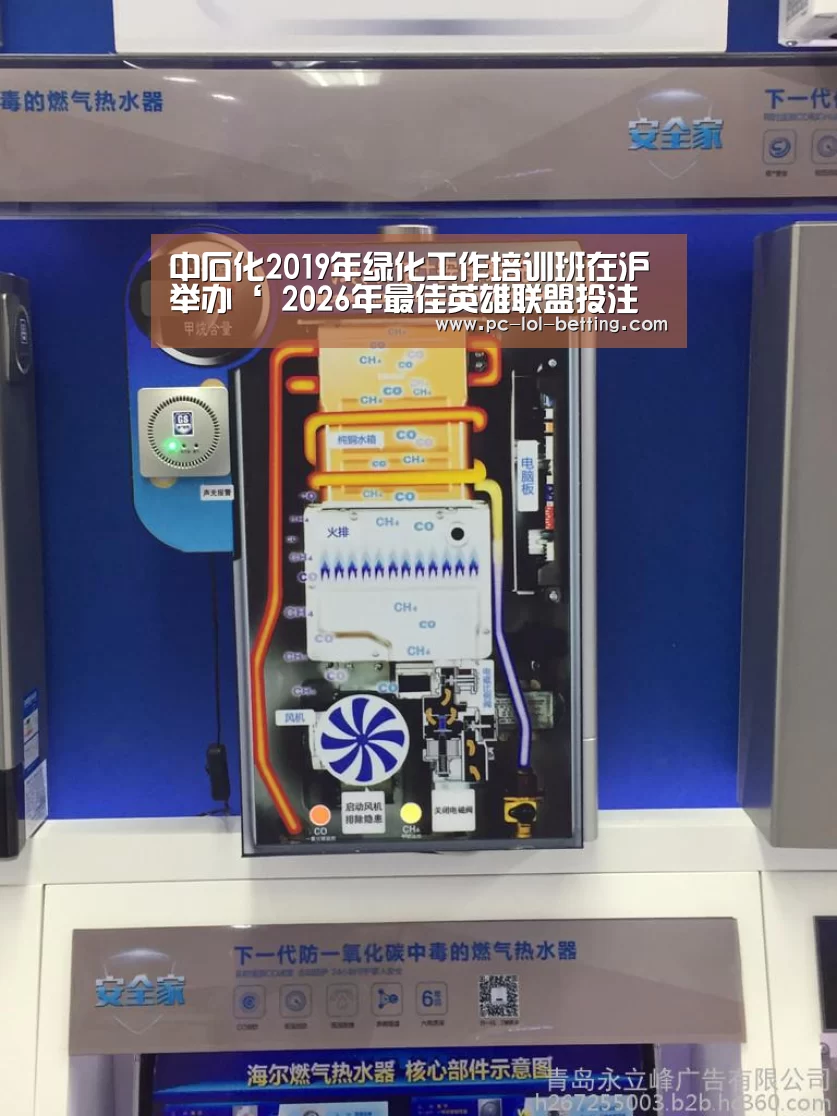 中石化2019年绿化工作培训班在沪举办‘ 2026年最佳英雄