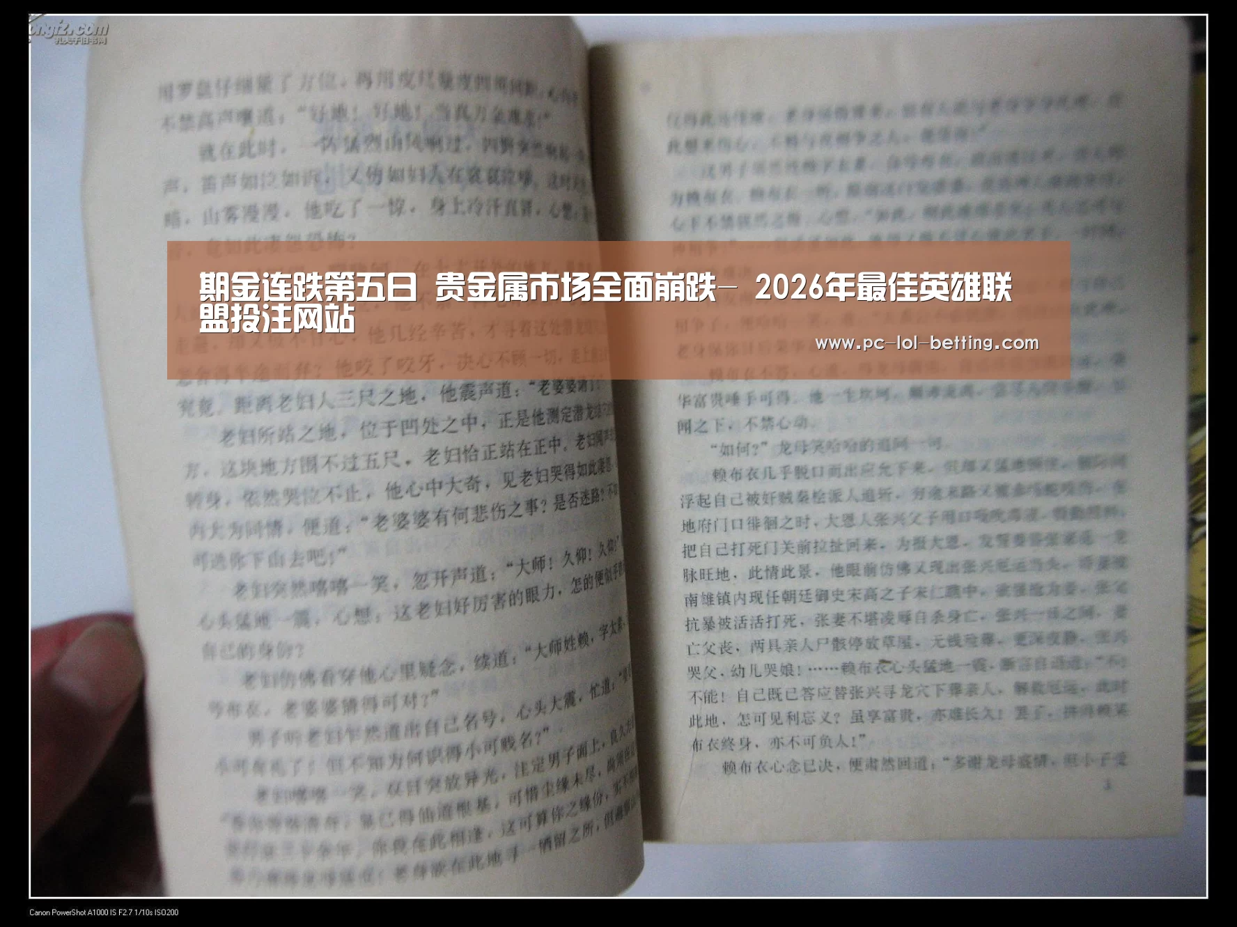 LoL投注网站 
