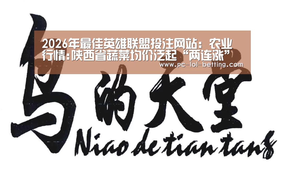 LoL投注网站 