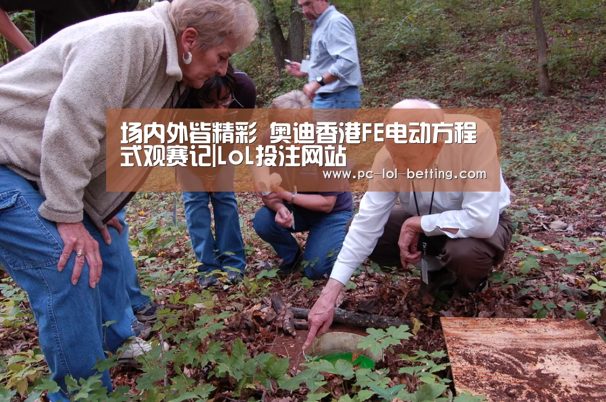场内外皆精彩 奥迪香港FE电动方程式观赛记|LoL投注网站 