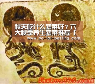 秋天吃什么蔬菜好?六大秋季养生蔬菜推荐【 2026年最佳英雄联盟投注网站】(图3) 2026年最佳英雄联盟投注网站