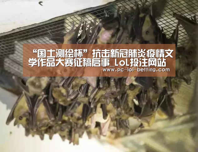 “国土测绘杯”抗击新冠肺炎疫情文学作品大赛征稿启事_LoL投注网站 (图3) LoL投注网站