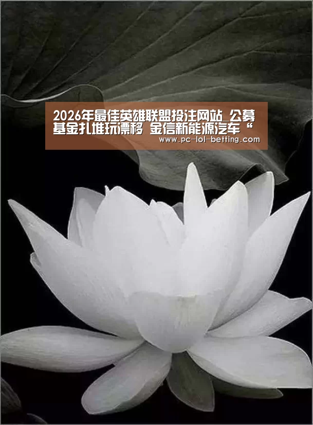 LoL投注网站 
