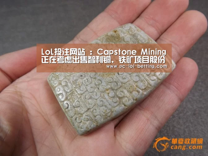 LoL投注网站 